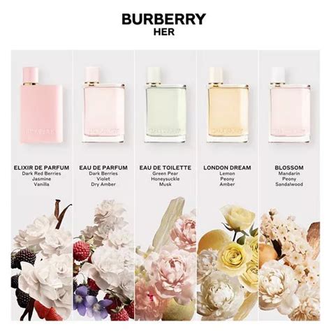 ici paris burberry her|burberry her peony scent.